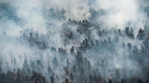 Indonesia - một tấm gương cho việc chống lại nạn cháy rừng.